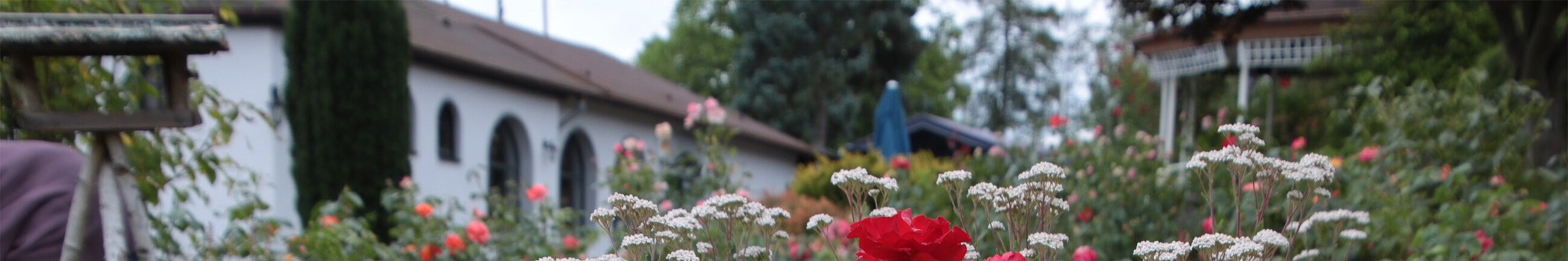 Blick auf Gastsätte und Pavillon - Foto: Ute Maria Meiser